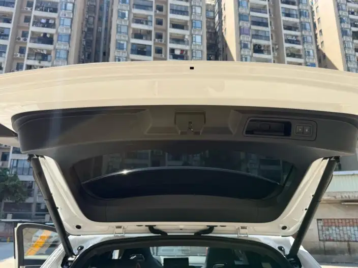 BYD Song PLUS DM 2023 Model DM-i Champion Edition 110KM Flagship Model – фото 10