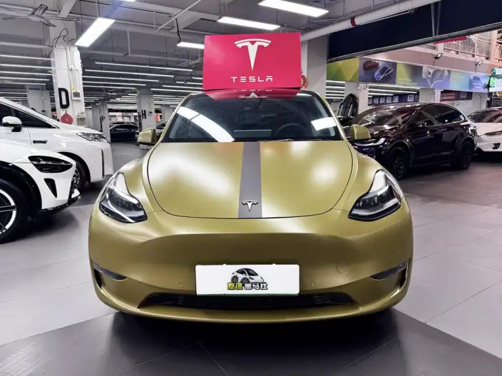 Model Y 2022 Model Performance High performance All-wheel drive version