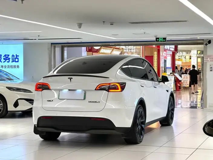 Model Y 2022 Model Long Battery Life Pro All-wheel drive version – фото 5