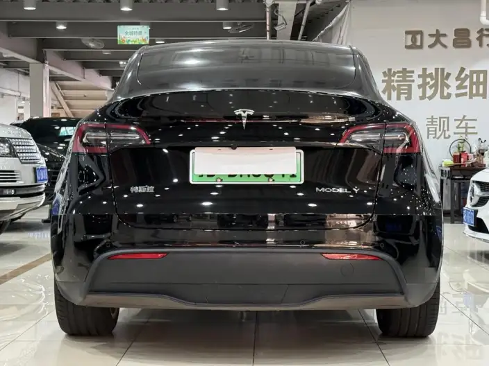Model Y 2022 Model Rear-wheel drive version – фото 5