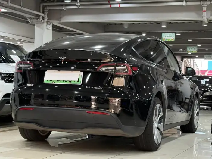 Model Y 2022 Model Rear-wheel drive version – фото 6