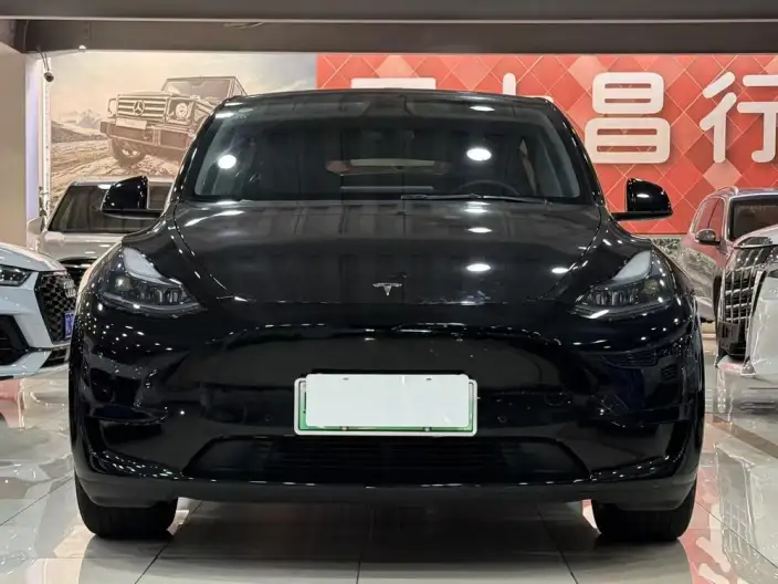 Model Y 2022 Model Rear-wheel drive version – фото 7
