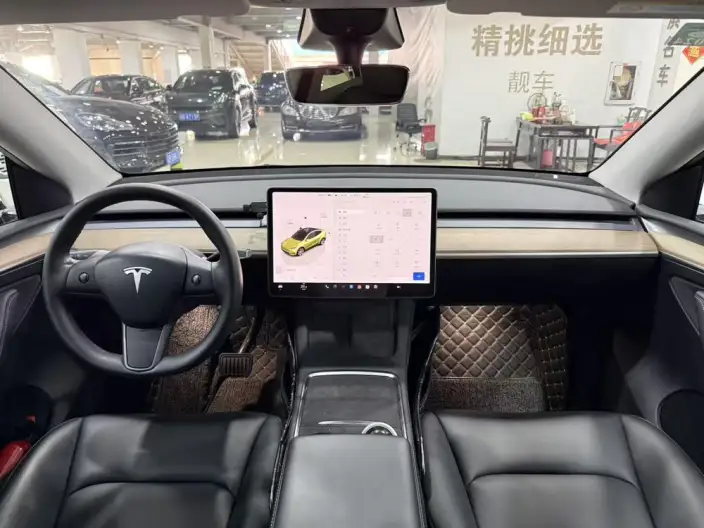 Model Y 2022 Model Rear-wheel drive version – фото 8