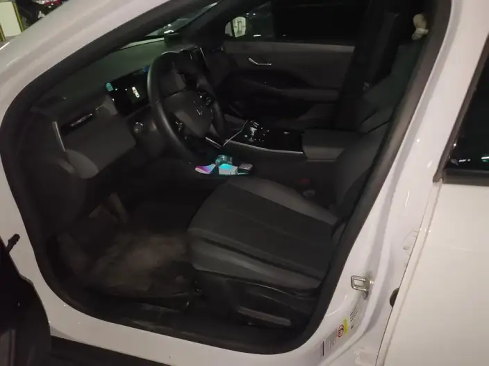 BYD Qin PLUS DM 2025 Model Smart Driving Edition DM-i 55KM Leading Model – фото 10