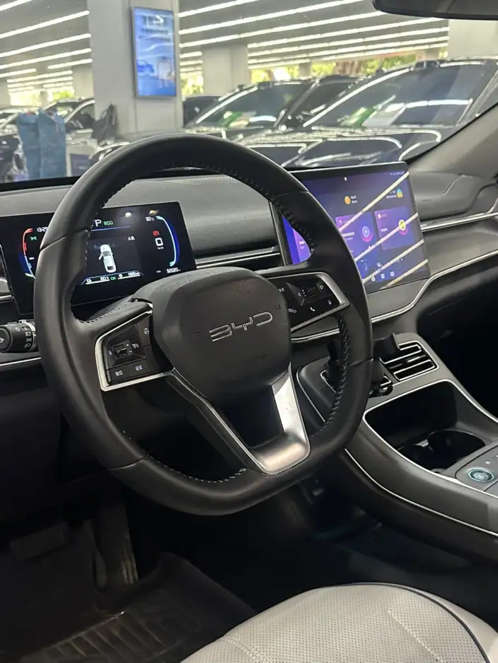 BYD Destroyer 05 2024 Model Honor Edition DM-i 55KM Luxury Model – фото 8