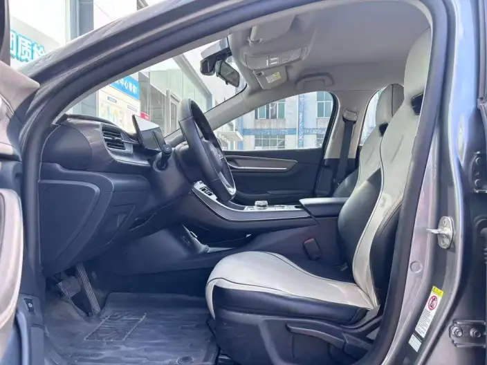 BYD Destroyer 05 2024 Model Honor Edition DM-i 55KM Luxury Model – фото 8