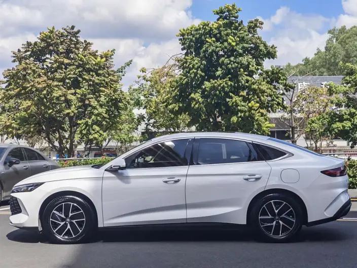 QinL DM 2024 Model DM-i 120KM Leading Model