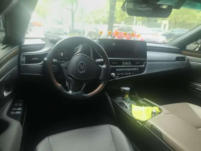 Lexus ES 2022 Model 200 Deluxe Edition – фото 9