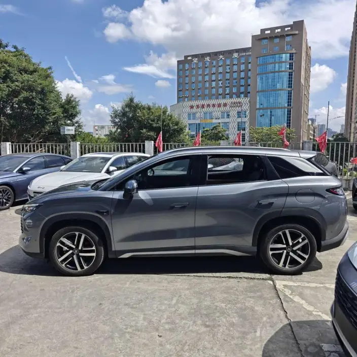 Song L DM 2025 Model Smart Driving Edition DM-i 112KM Leading Model