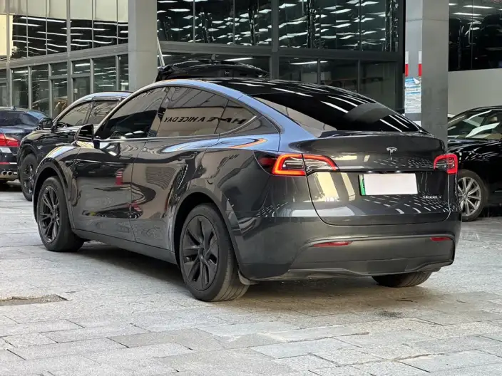 Model Y 2024 Model Rear-wheel drive version – фото 5