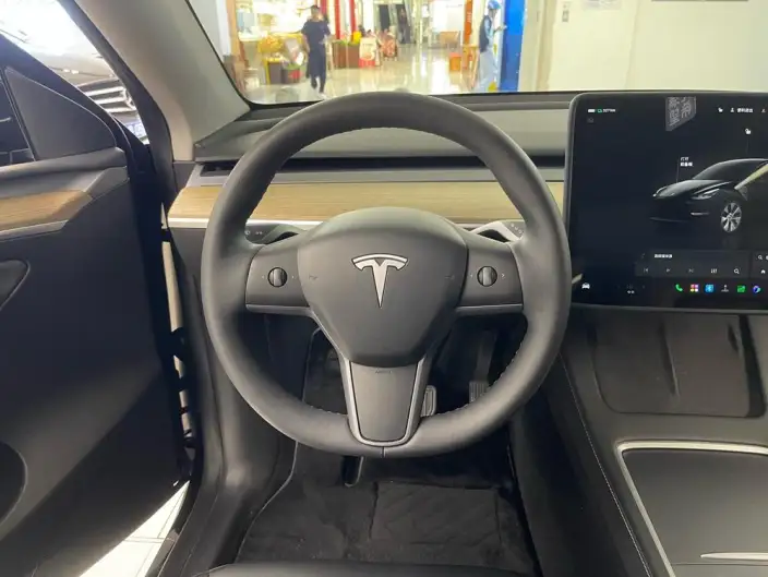 Model Y 2022 Model Facelift Rear-wheel drive version – фото 6