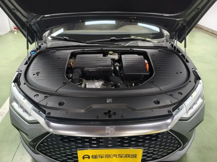 BYD Han DM 2022 Model DM-i 121KM Exclusive Model – фото 10