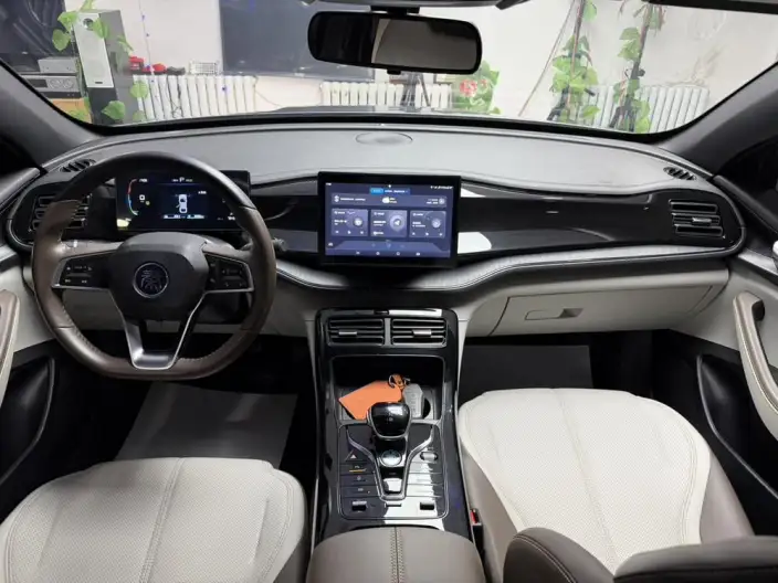 BYD Qin PLUS DM 2023 Model DM-i Champion Edition 55KM Leading Model – фото 7