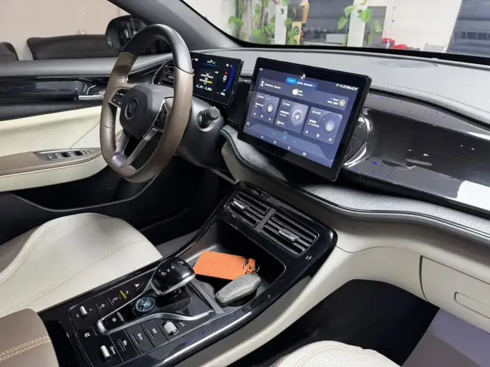 BYD Qin PLUS DM 2023 Model DM-i Champion Edition 55KM Leading Model – фото 10