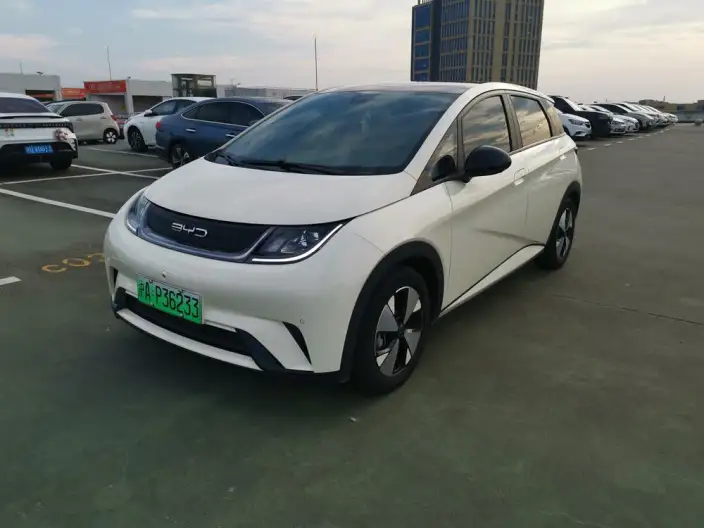 BYD Dolphin 2023 Model Free Edition – фото 1