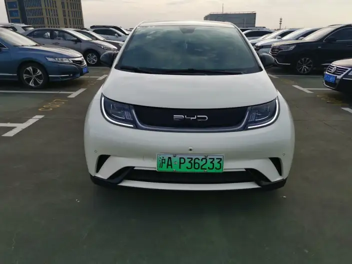 BYD Dolphin 2023 Model Free Edition – фото 2