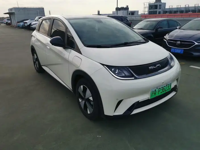 BYD Dolphin 2023 Model Free Edition – фото 3