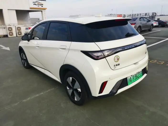 BYD Dolphin 2023 Model Free Edition – фото 4