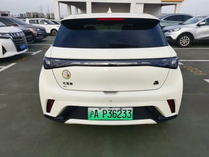 BYD Dolphin 2023 Model Free Edition – фото 5
