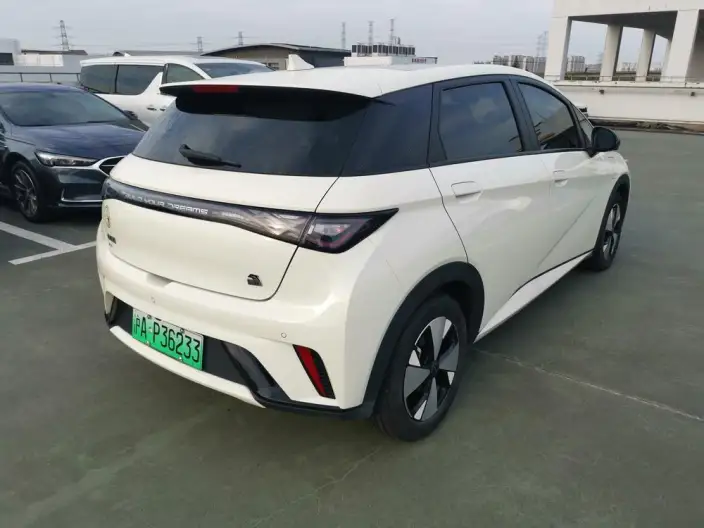 BYD Dolphin 2023 Model Free Edition – фото 6