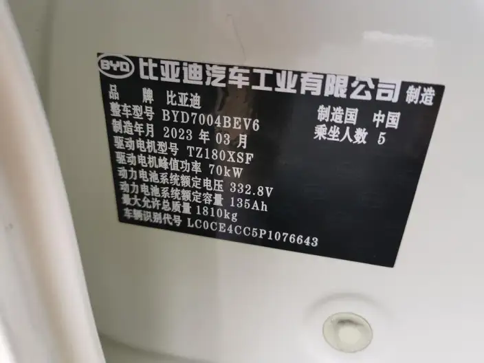 BYD Dolphin 2023 Model Free Edition – фото 9