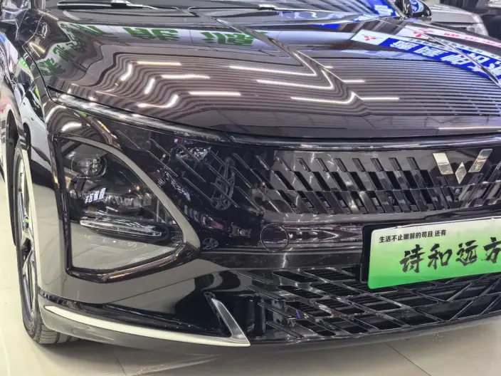 Wuling Xingguang PHEV 2023 Model 150 Advanced version – фото 7