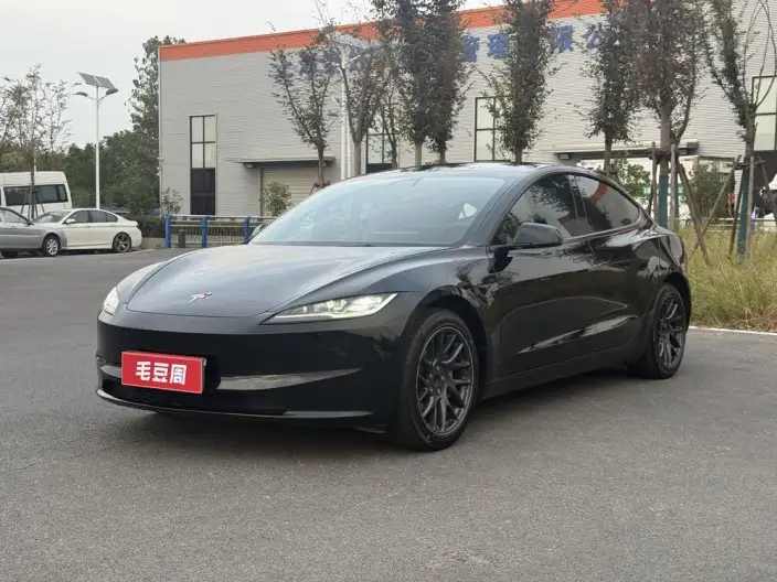 Model 3 2023 Model Rear-wheel drive version – фото 1