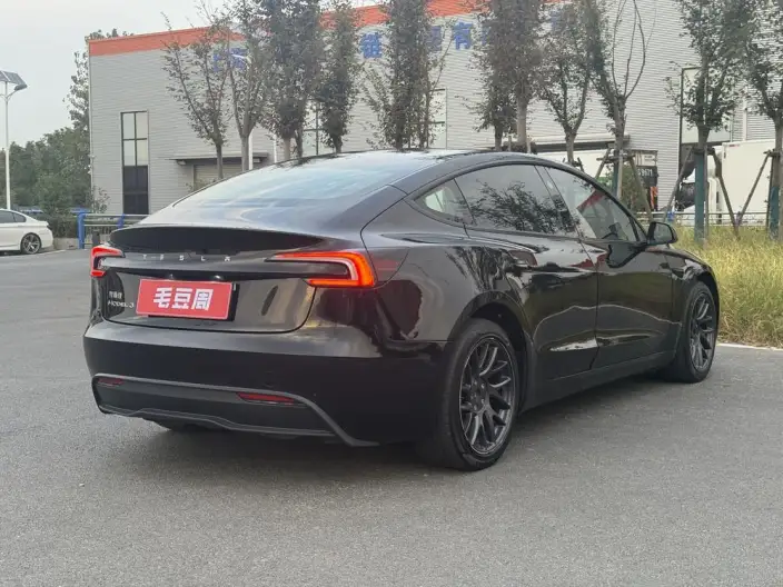 Model 3 2023 Model Rear-wheel drive version – фото 6
