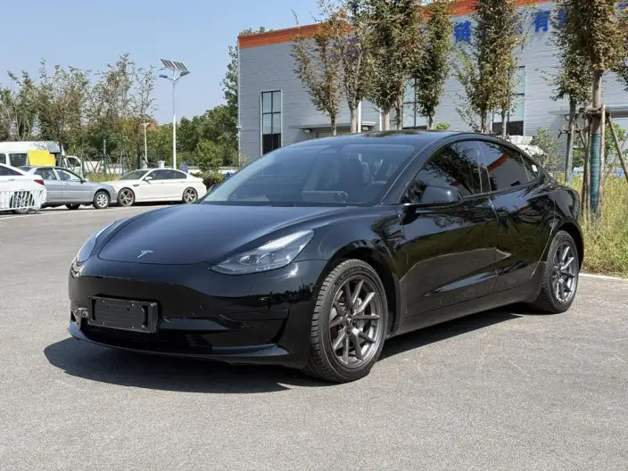 Model 3 2023 Model Rear-wheel drive version – фото 1