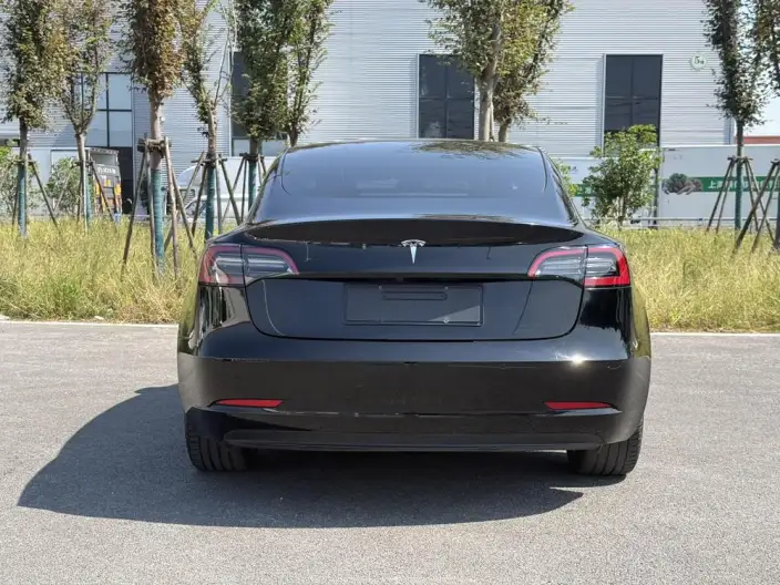 Model 3 2023 Model Rear-wheel drive version – фото 5