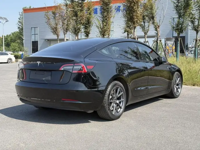 Model 3 2023 Model Rear-wheel drive version – фото 6