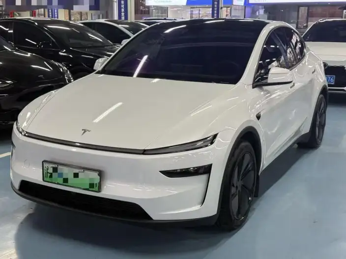 Model Y 2025 Model Long Battery Life Pro All-wheel drive version – фото 1