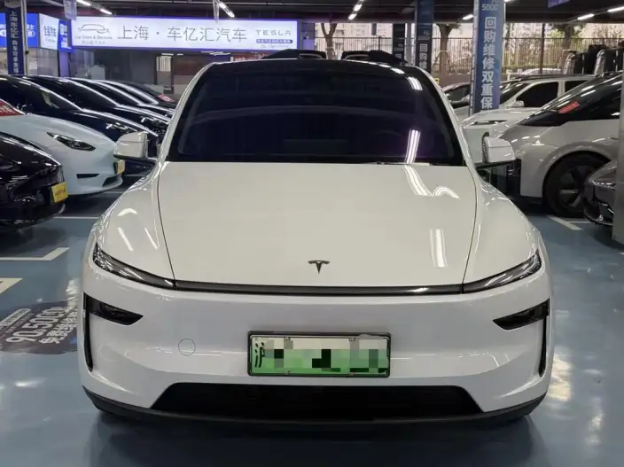 Model Y 2025 Model Long Battery Life Pro All-wheel drive version – фото 2