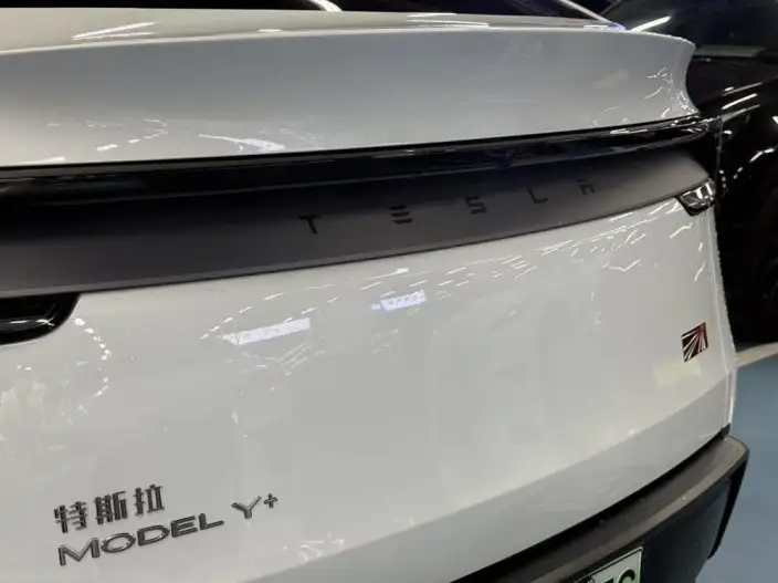 Model Y 2025 Model Long Battery Life Pro All-wheel drive version – фото 7
