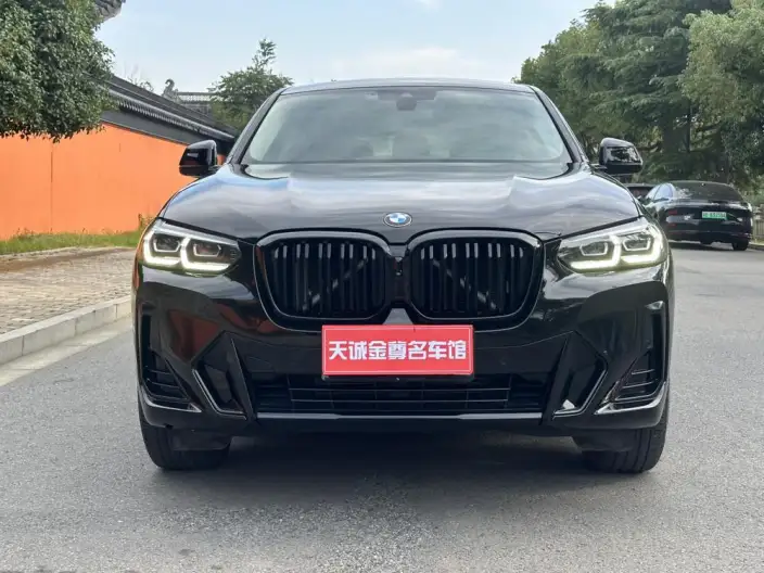 BMW X4 2022 Model xDrive 30i M Sports Set – фото 2