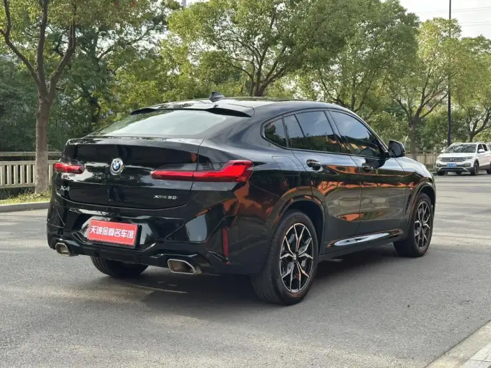 BMW X4 2022 Model xDrive 30i M Sports Set – фото 6