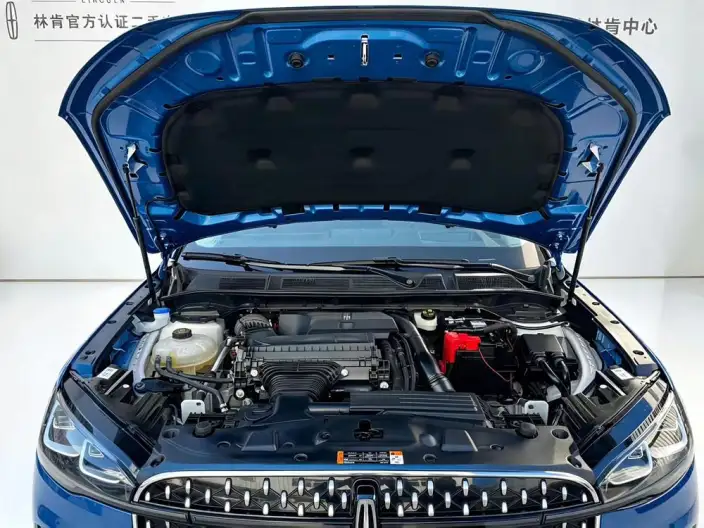 Lincoln Corsair 2023 Model 2.0T 4WD Zunya Edition – фото 6