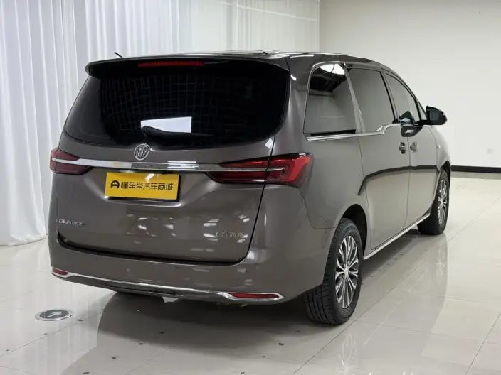 Buick GL8 2023 Model Business class 2.0T Comfort Model – фото 7
