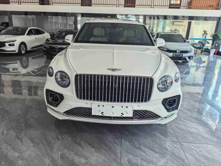Bentayga 2023 Model 4.0T V8 Long wheelbase Yadu Edition – фото 2