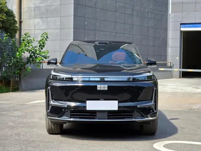 Geely M9 2025 Model 210km 4WD Pilot Edition – фото 2