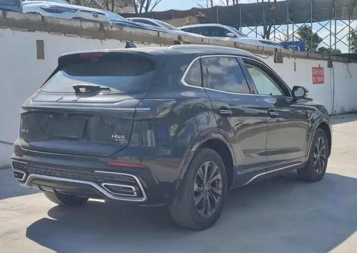 Hongqi HS5 2023 Model 2.0T Flag Xiang Pro Edition – фото 6