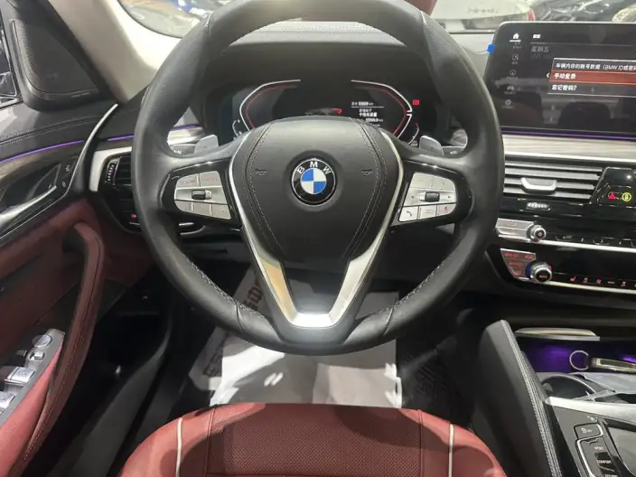 BMW 5 Series 2023 Model 530Li Leading Model Luxury Set – фото 9