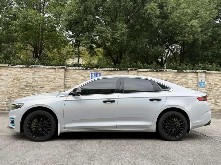 Geely StarRui 2021 Model 2.0T Noble Model – фото 4