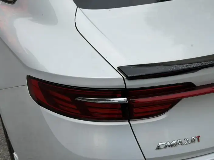 Geely StarRui 2021 Model 2.0T Noble Model – фото 9