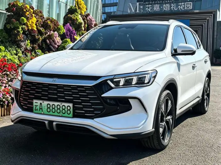 BYD Song Pro DM 2024 Model DM-i Honor Edition 71km Pilot Model – фото 1