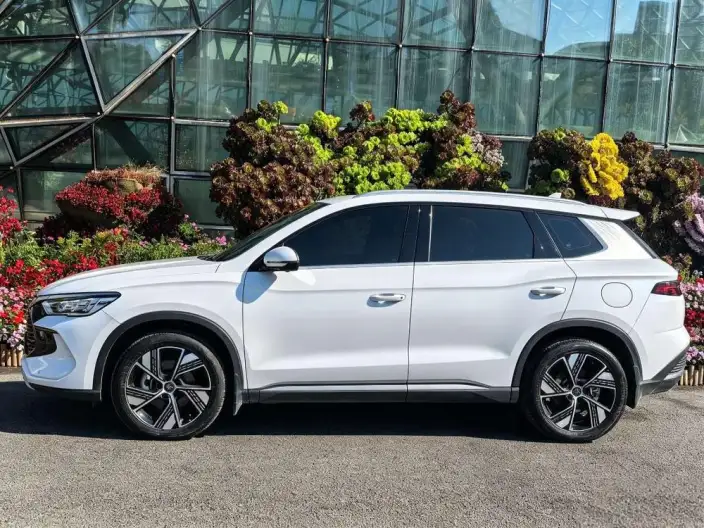 BYD Song Pro DM 2024 Model DM-i Honor Edition 71km Pilot Model – фото 3