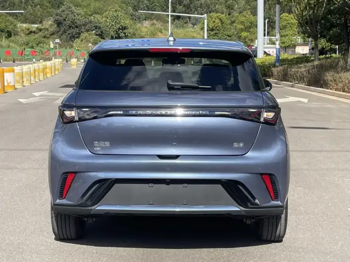 BYD Dolphin 2024 Model Honor Edition 420km Fashion Edition – фото 5