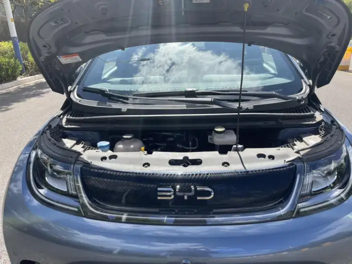 BYD Dolphin 2024 Model Honor Edition 420km Fashion Edition – фото 7