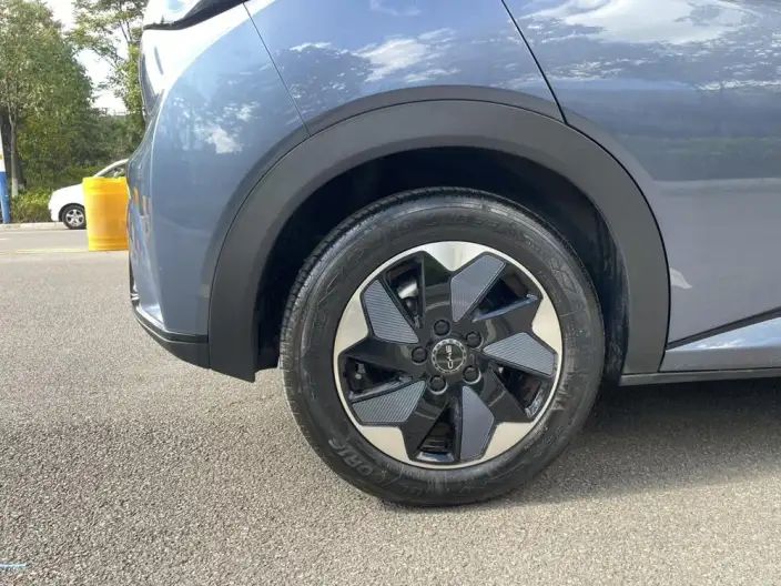 BYD Dolphin 2024 Model Honor Edition 420km Fashion Edition – фото 10