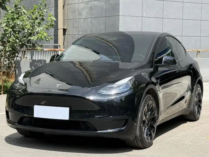 Model Y 2023 Model Rear-wheel drive version – фото 1